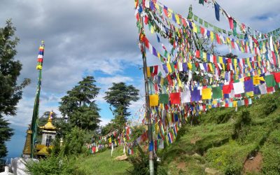 A Moment of ‘Great Electricity and Joy’ with the Dalai Lama